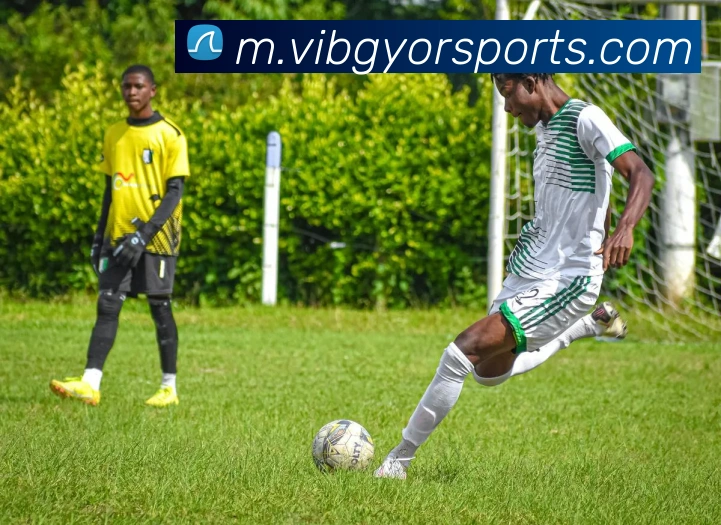 多媒体互动体验